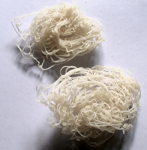 Gahu Kurdai 1