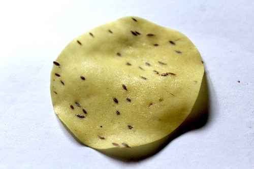 Rice Papad 2