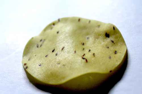 Rice Papad 3