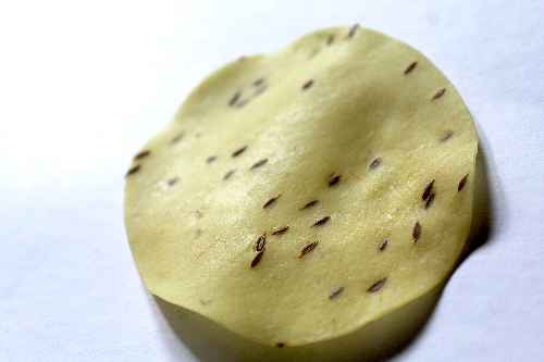 Rice Papad 4